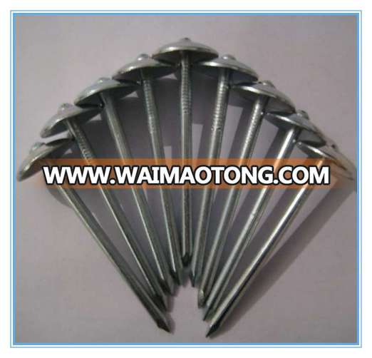 Super Quality Common Round Galvanized Iron Nails / Roofing Nails