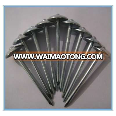 Super Quality Common Round Galvanized Iron Nails / Roofing Nails