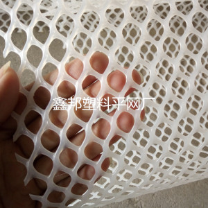 High Quality Plastic Wire Mesh/Plastic Mesh